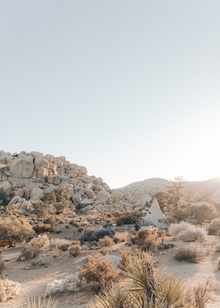 The Power of Community in Faith
